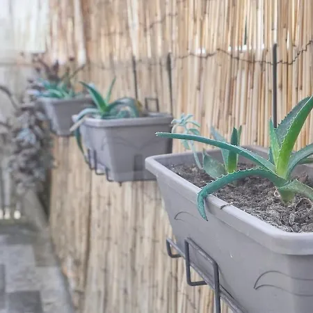 Appartement Frgk Tamaris Terrace, Ac & Ultra-fast Wi-fi *