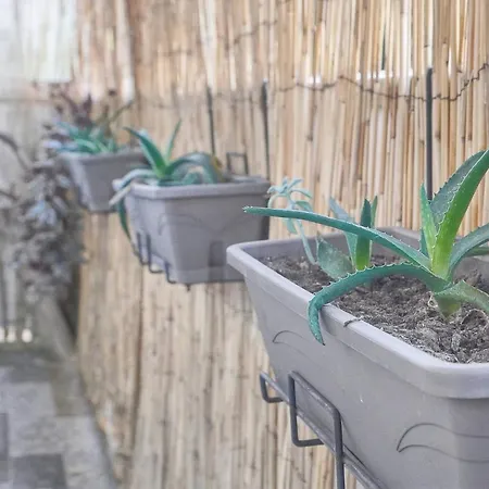 Frgk Tamaris Terrace, Ac & Ultra-fast Wi-fi * Antibes