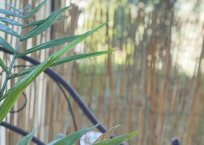 Frgk Tamaris Terrace, Ac & Ultra-fast Wi-fi * Antibes